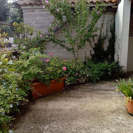 Il Cactus Bed & Breakfast San Giovanni Incarico Exterior foto