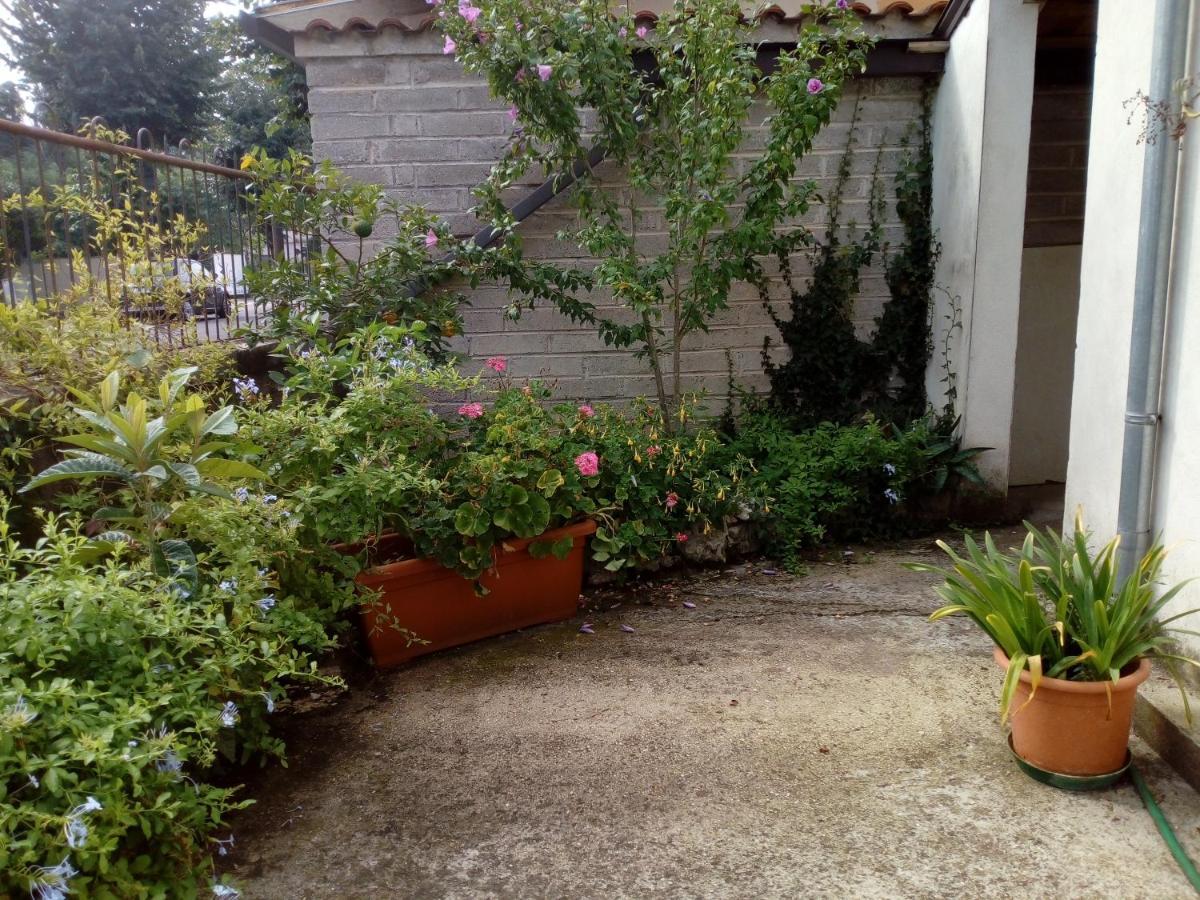 Il Cactus Bed & Breakfast San Giovanni Incarico Exterior foto