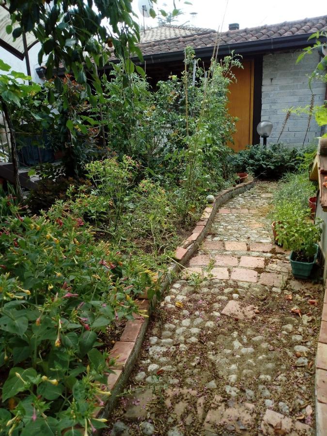 Il Cactus Bed & Breakfast San Giovanni Incarico Exterior foto