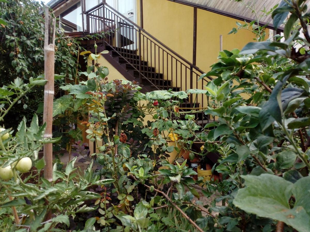 Il Cactus Bed & Breakfast San Giovanni Incarico Exterior foto