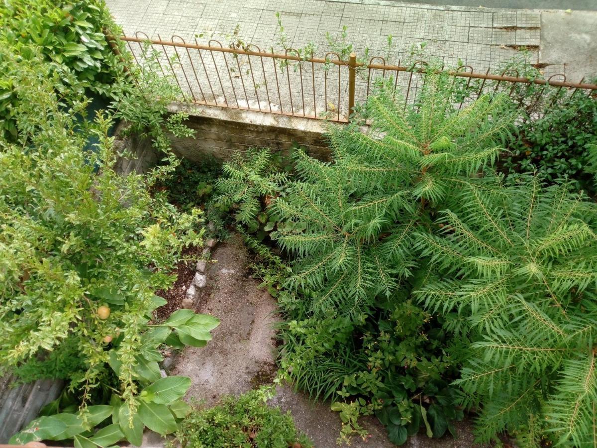 Il Cactus Bed & Breakfast San Giovanni Incarico Exterior foto